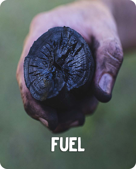 FUEL